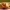 https://res.cloudinary.com/billionhands/image/upload/v1780902237/items/exobcngcotvkxclr9gap.jpg-1cover