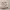 https://res.cloudinary.com/billionhands/image/upload/v1780902735/items/d2gcmzlnk5nlyfbza9l1.jpg-0cover