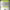 https://res.cloudinary.com/billionhands/image/upload/v1780902836/items/njkdkhistedr3xecbakb.png-0cover