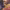 https://res.cloudinary.com/billionhands/image/upload/v1780902842/items/kejvprslv7ghzgq1apqi.jpg-1cover