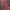 https://res.cloudinary.com/billionhands/image/upload/v1780903194/items/d8224fwd3iqnuy6ejemb.jpg-2cover