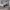 https://res.cloudinary.com/billionhands/image/upload/v1780903217/items/ng1v1tjbohj0wry2bj0d.png-2cover