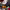 https://res.cloudinary.com/billionhands/image/upload/v1780903218/items/z2ghy6893uakom6pxdgf.jpg-3cover