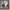 https://res.cloudinary.com/billionhands/image/upload/v1780904604/items/nksih75j3g5ntwcra8dv.webp-2cover