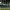 Hand-pass that cost a goal cover