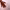 https://res.cloudinary.com/billionhands/image/upload/v1780906544/items/hm2t3vgk5kmmcqnylvca.avif-0cover