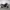 https://res.cloudinary.com/billionhands/image/upload/v1780907189/items/p3oalbdibpg53ihgqrqx.jpg-2cover
