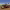 Massey Harris 21 Self-Propelled Combine Harvester cover