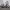 https://res.cloudinary.com/billionhands/image/upload/v1780908505/items/ec0xip0wsnqcvrz4jovj.webp-2cover