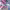 https://res.cloudinary.com/billionhands/image/upload/v1780908591/items/comcsc2nalg46bvhymp3.webp-3cover
