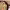 https://res.cloudinary.com/billionhands/image/upload/v1780909489/items/bbpmgstiokytjzteh8rz.png-3cover