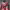https://res.cloudinary.com/billionhands/image/upload/v1780910979/items/usttu5lmswrqwjq8zqmd.webp-0cover