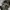 https://res.cloudinary.com/billionhands/image/upload/v1780910988/items/on0mvfqsg2rs5wspaxb4.jpg-1cover