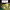 https://res.cloudinary.com/billionhands/image/upload/v1780911009/items/jnwszrnkvahbphoojfxt.jpg-0cover