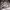 https://res.cloudinary.com/billionhands/image/upload/v1780911429/items/jgihmcogbzazpdcloirg.jpg-1cover