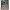 https://res.cloudinary.com/billionhands/image/upload/v1780911670/items/xwbmgxueph6c2t04oqa0.png-0cover
