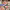PEPCO (Huelva) cover