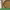 Online Healthy Dog Food Business cover