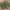https://res.cloudinary.com/billionhands/image/upload/v1780914688/items/a92xo29tnmgvv3zsjgg2.webp-1cover