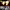 https://res.cloudinary.com/billionhands/image/upload/v1780915671/items/wgfjkkytzlmyexi4tgxt.jpg-2cover