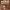 https://res.cloudinary.com/billionhands/image/upload/v1780916517/items/bjt0wsac42h1cgyni4ef.jpg-1cover
