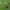 https://res.cloudinary.com/billionhands/image/upload/v1780918770/items/dukxxktsa37rt39oc7xr.jpg-1cover