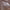 https://res.cloudinary.com/billionhands/image/upload/v1780919612/items/squzpn26fmpmd2cs0gwy.webp-1cover