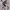 https://res.cloudinary.com/billionhands/image/upload/v1780921325/items/yz6imvyvekge0ndckcxw.webp-1cover