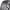 https://res.cloudinary.com/billionhands/image/upload/v1780921953/items/zppblrzip1vxrmotnilx.png-0cover