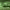 https://res.cloudinary.com/billionhands/image/upload/v1780922045/items/zmhaimvpwt08tjjjibyw.jpg-2cover