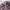 https://res.cloudinary.com/billionhands/image/upload/v1780922050/items/pcliglstuvh0rjqp6lht.jpg-0cover
