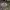 https://res.cloudinary.com/billionhands/image/upload/v1780922054/items/jpkl8jb8g2u1bwe1wwvn.jpg-3cover