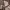 https://res.cloudinary.com/billionhands/image/upload/v1780922258/items/gyai4ls2lkgkgjjkfjbx.webp-0cover