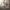 https://res.cloudinary.com/billionhands/image/upload/v1780922494/items/ew5o5d5uaurkm3xphb4t.jpg-1cover
