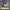 https://res.cloudinary.com/billionhands/image/upload/v1780923011/items/j8qdsv8oa0g1xwzapxmt.jpg-0cover