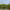 Mangroves of Guatemala's Southern Coast cover