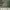 https://res.cloudinary.com/billionhands/image/upload/v1780925698/items/iu9fedl9rn4f6tu7hkyh.jpg-1cover
