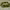 https://res.cloudinary.com/billionhands/image/upload/v1780925804/items/hmjaolexra90dq3aob3x.jpg-2cover