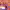 https://res.cloudinary.com/billionhands/image/upload/v1780929593/items/fnxpdb7zd5blrnszxib0.jpg-0cover