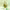 https://res.cloudinary.com/billionhands/image/upload/v1780930145/items/xd020vub15mjrxgoci65.jpg-1cover