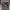 https://res.cloudinary.com/billionhands/image/upload/v1780930464/items/y75cpbx5fwwnpls5pznk.avif-2cover