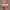 https://res.cloudinary.com/billionhands/image/upload/v1780930729/items/cxwyfwrysvbul12abpye.jpg-3cover
