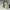 https://res.cloudinary.com/billionhands/image/upload/v1780931198/items/qvzmxkbbuihss106ysei.jpg-1cover