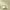 https://res.cloudinary.com/billionhands/image/upload/v1780931210/items/eh4rk7syrkwk2uqhr86l.avif-1cover