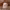 https://res.cloudinary.com/billionhands/image/upload/v1780931219/items/kdt5ytoe5w8lb40maxwb.webp-3cover