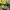 https://res.cloudinary.com/billionhands/image/upload/v1780932114/items/huhkf9nxfdtidctbfcrc.jpg-0cover