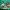 https://res.cloudinary.com/billionhands/image/upload/v1780932908/items/ic2hop4uqvjdbudztbfr.jpg-2cover