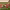 https://res.cloudinary.com/billionhands/image/upload/v1780934263/items/oroszvdwplcky0ixxdfs.png-2cover