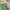 https://res.cloudinary.com/billionhands/image/upload/v1780935868/items/vkiqgsh2nviilvqjdboi.jpg-2cover