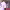 https://res.cloudinary.com/billionhands/image/upload/v1780937328/items/yp9uu21xilx88cjglu0d.jpg-2cover